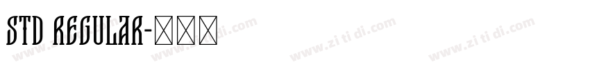 STd regular字体转换 STd regular字体转换